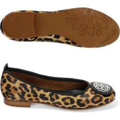 Aleta Ballerinas -Fashion Accessories aleta ballerinas leopard 2 da6998f7 0421 4d39 844f cac3fbdc478a