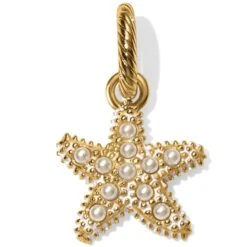 Beach Star Charm Necklace 9 Beach Star Charm Necklace -Fashion Accessories beach star charm necklace gold 3 e21bdf08 dcd2 4498 a00b b6e4a74360d0
