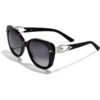 Chara Ellipse Sunglasses -Fashion Accessories chara ellipse sunglasses black pearl 0 bc0964db cce3 4fde 93e2 2c6641621426
