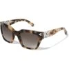 Contempo Dot Sunglasses -Fashion Accessories contempo dot sunglasses silver tortoise 0