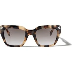 Contempo Dot Sunglasses -Fashion Accessories contempo dot sunglasses silver tortoise 2