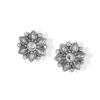 Cora Mini Post Earrings -Fashion Accessories cora mini post earrings silver 0 46adc342 14d2 4090 91f2 792610a022b1