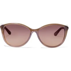 Ferrara Sunglasses -Fashion Accessories ferrara sunglasses brown 2