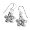 Illumina Daisy Petite French Wire Earrings -Fashion Accessories illumina daisy petite french wire earrings silver 0 d7dcb3ee 1416 452d b60d 97f79810431f