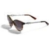 Infinity Sparkle Sunglasses -Fashion Accessories infinity sparkle sunglasses brown fade 0 eb3e648d 462b 4560 811d 56b595d7af0e