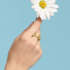 Inner Circle Double Ring -Fashion Accessories inner circle double ring gold 2