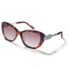 Interlok Cascade Sunglasses -Fashion Accessories interlok cascade sunglasses tortoise 0 35707475 f891 4249 b7bf a208c322e168