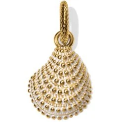 Paradise Cove Shell Necklace -Fashion Accessories paradise cove shell necklace gold 3 d5c2bcc6 df8a 4049 9573 c43b45507330