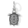 Pismo Turtle Charm -Fashion Accessories pismo turtle charm silver 0 a9974309 4e0c 4c8f b18f 9126bb4a24fa