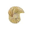 Sea Shell Stopper Bead -Fashion Accessories sea shell stopper bead gold 0 02e03e25 26ac 4661 8f2f a45f67da8c52